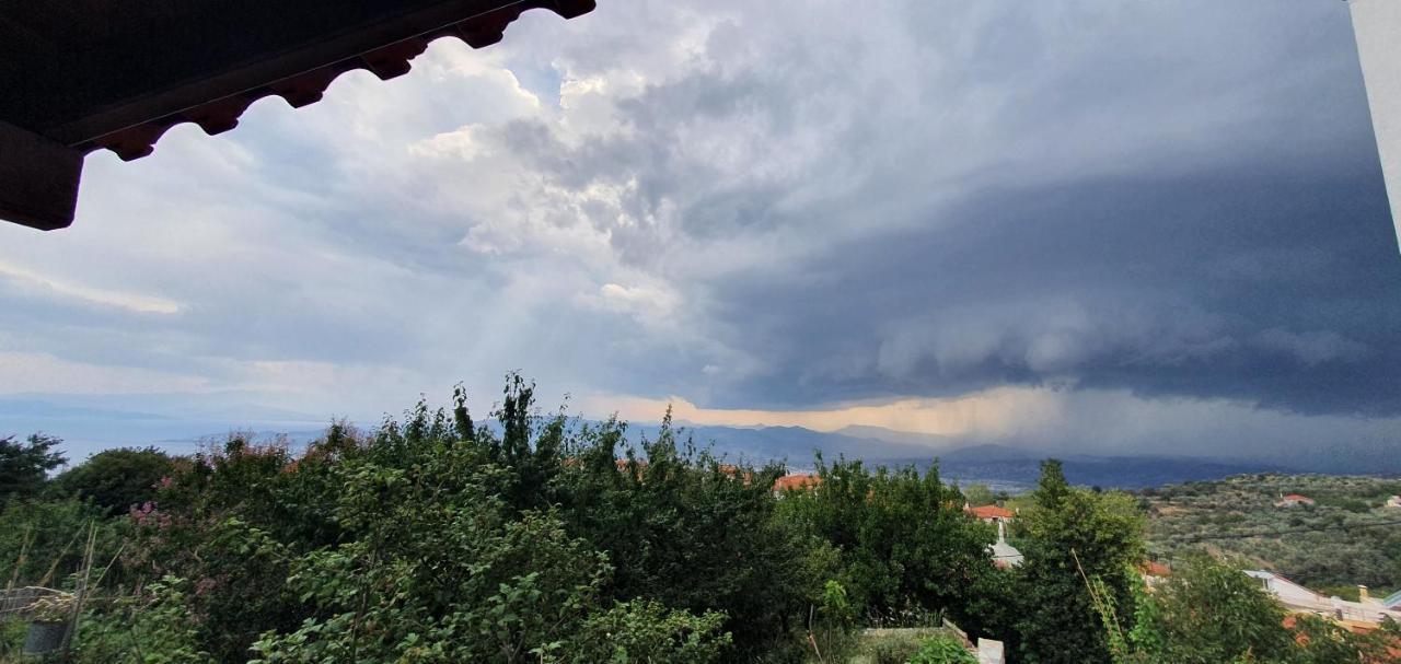 Petrichor Houses ポルタリア エクステリア 写真